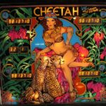 Cheetah_1980-06-01