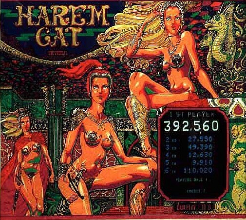 Harem Cat pinball machine (1979)