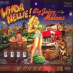 Whoa Nellie Big Juicy Melons pinball machine (2015)